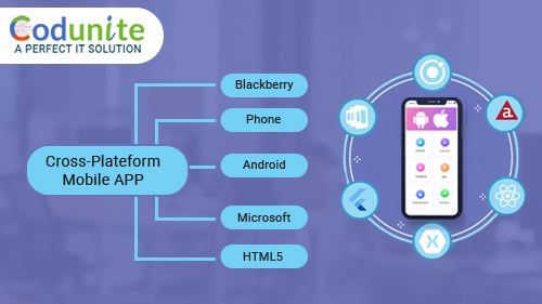 Biometric Authentication